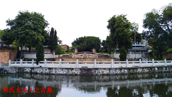 第十二期学员杨老师学后感