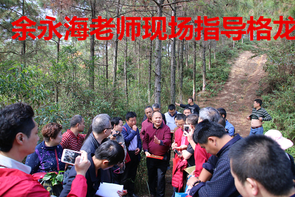 【第十二期学员何老师学后感】杨公风水显真迹